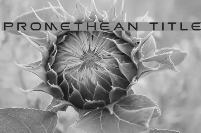 Promethean Title Font examples