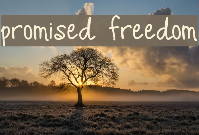 Promised Freedom Font examples