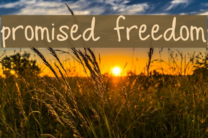 Promised Freedom Font examples