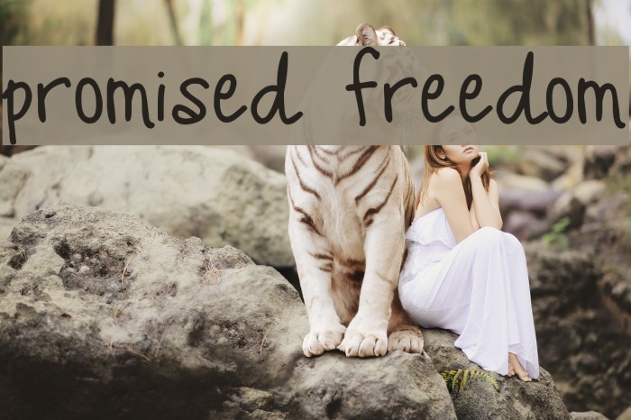 Promised Freedom Font examples