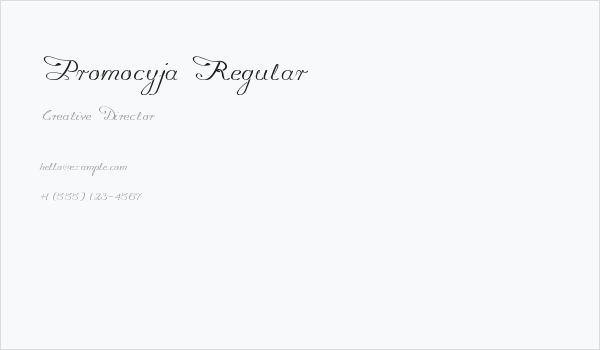 Promocyja Regular Business Card