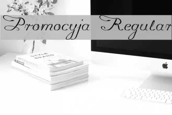 Promocyja Regular Font examples