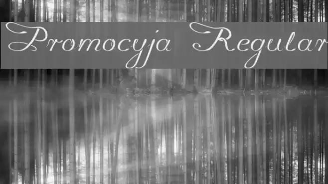 Promocyja Regular Font examples
