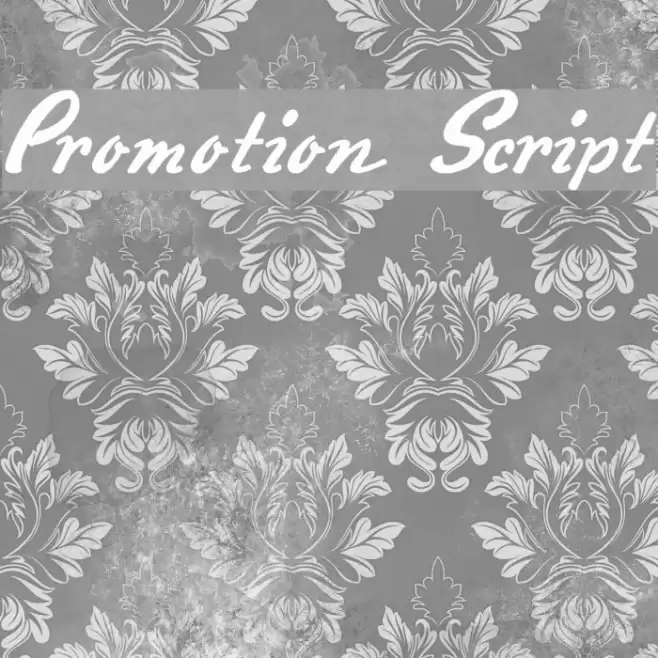 Promotion Script Font examples