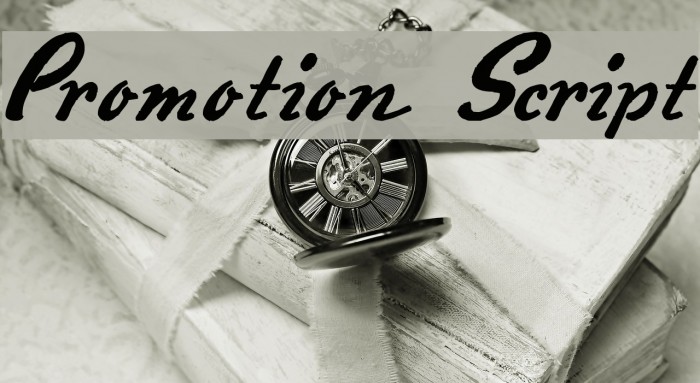 Promotion Script Fonte examples