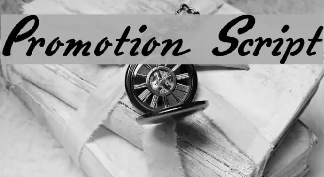 Promotion Script Font examples