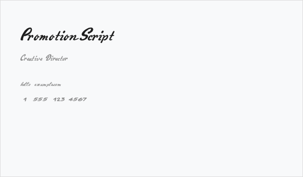 PromotionScript Business Card