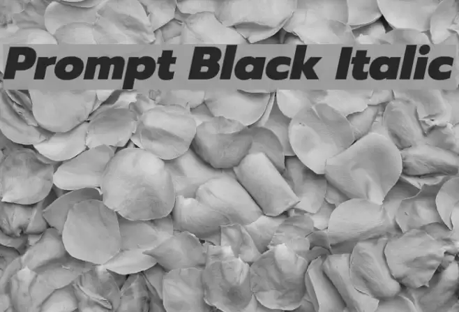 Prompt Black Italic Font examples
