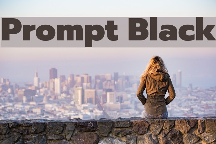 Prompt Black Font examples