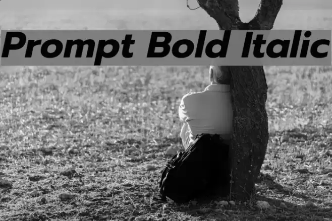 Prompt Bold Italic Font examples