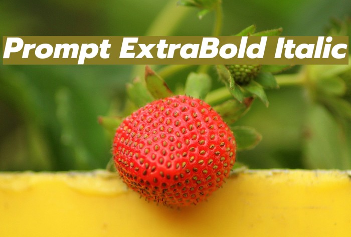 Prompt ExtraBold Italic Font examples