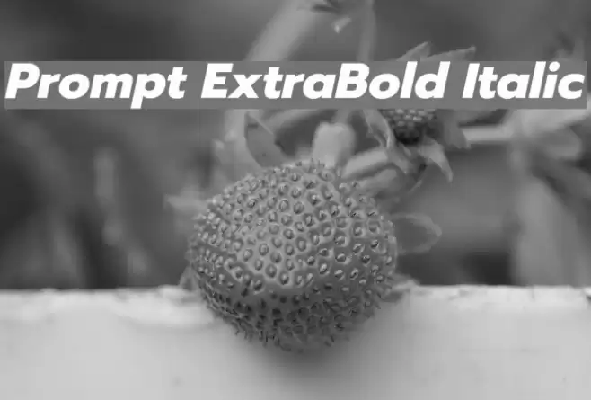 Prompt ExtraBold Italic examples