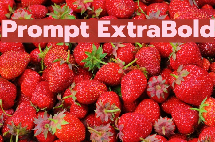 Prompt ExtraBold Font examples