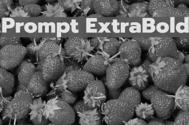 Prompt ExtraBold Polices examples