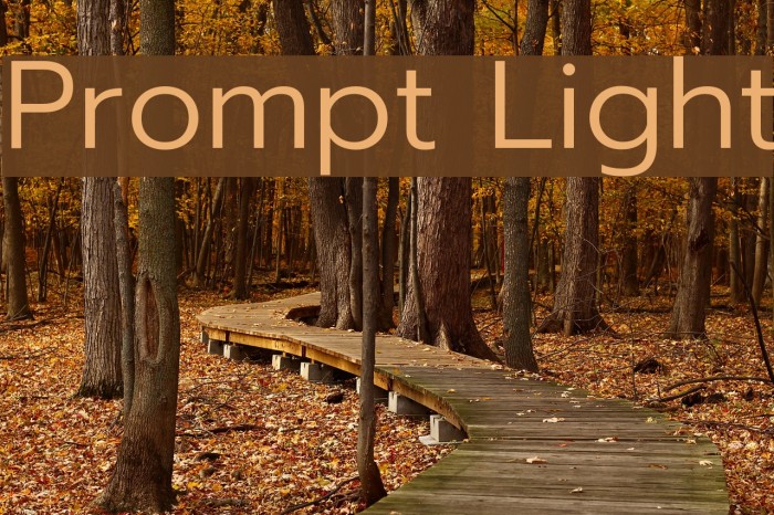 Prompt Light Font examples