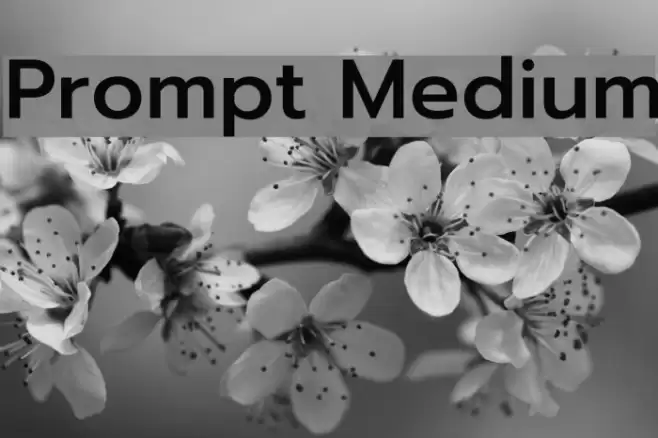 Prompt Medium Font examples