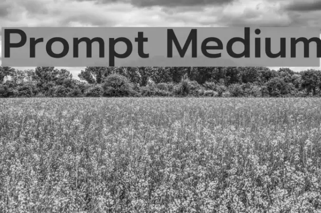 Prompt Medium Font examples