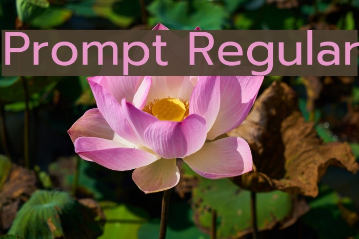 Prompt Regular Font examples
