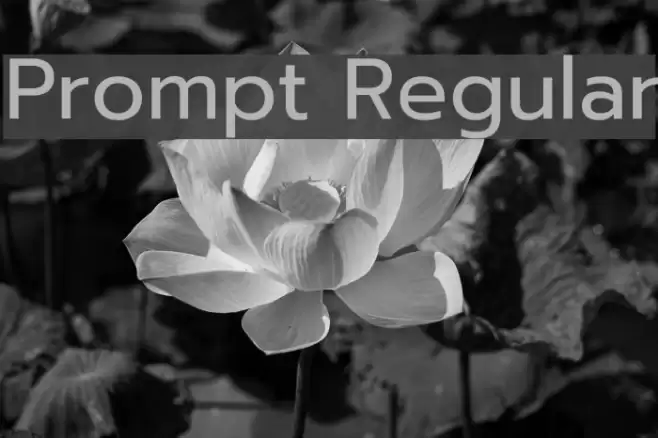 Prompt Regular Font examples