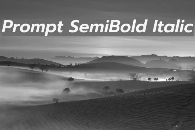 Prompt SemiBold Italic  examples