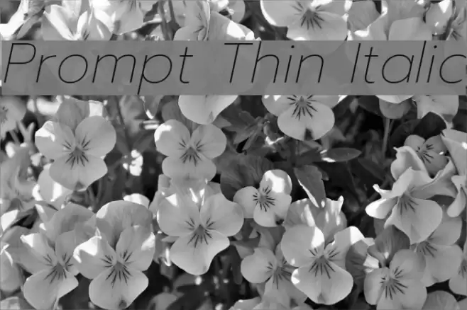Prompt Thin Italic  examples