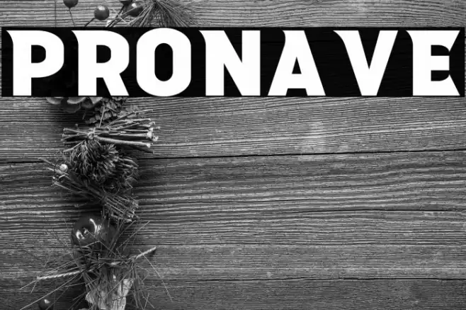 Pronave Font examples