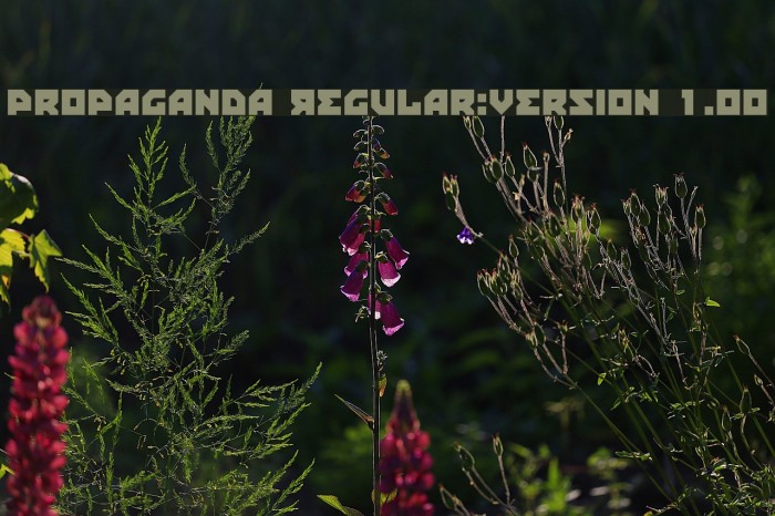 Propaganda Regular:Version 1.00 Font examples