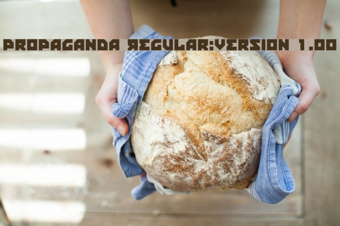 Propaganda Regular:Version 1.00 Font examples
