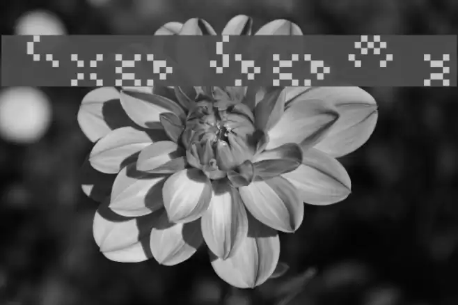 PropelRepelAlias Font examples