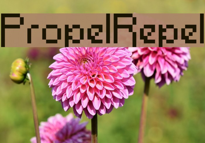 PropelRepel Font examples