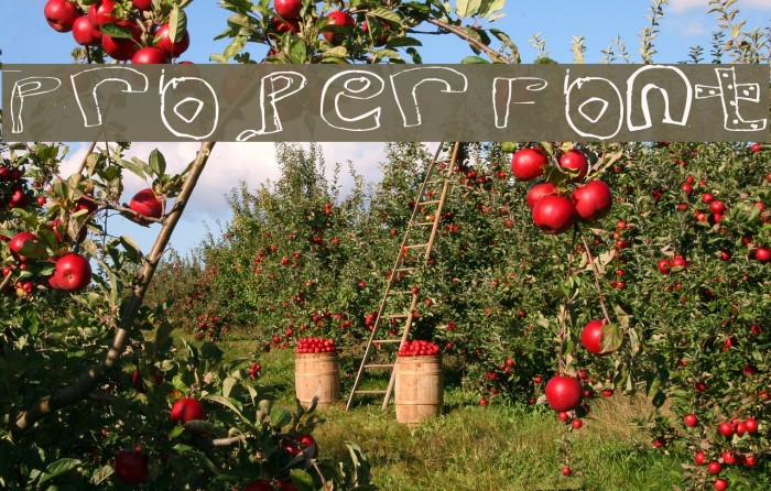 Proper Font Font examples
