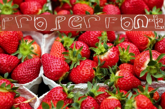 Proper Font Font examples