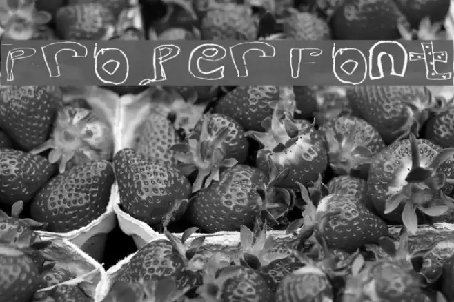 Proper Font Font examples
