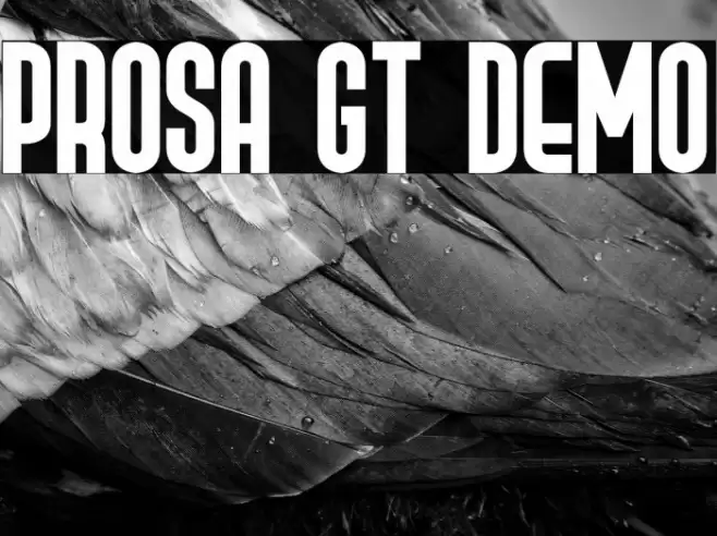 Prosa GT Demo Font examples