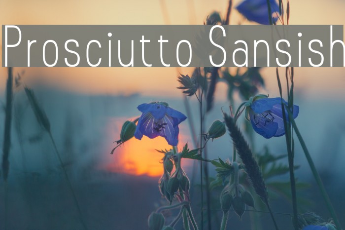 Prosciutto Sansish Font examples