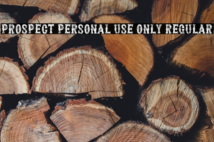 Prospect PERSONAL USE ONLY Regular Example 2