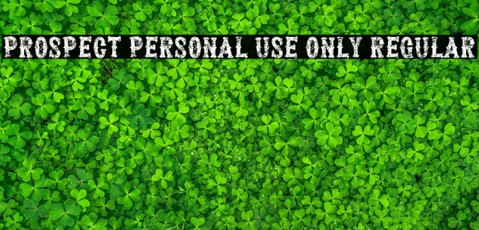 Prospect PERSONAL USE ONLY Regular Example 3