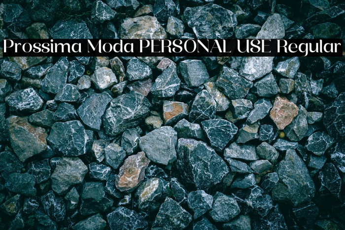 Prossima Moda PERSONAL USE Regular Example 1