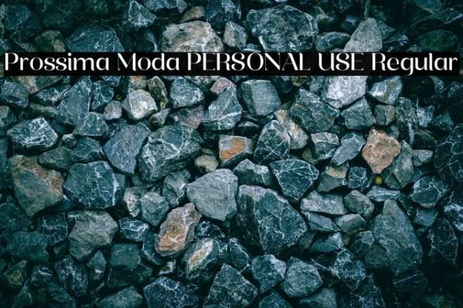 Prossima Moda PERSONAL USE Regular Example 1
