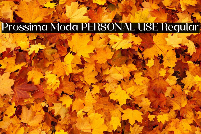 Prossima Moda PERSONAL USE Regular Example 3