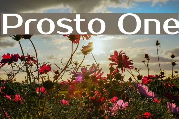 Prosto One Font examples