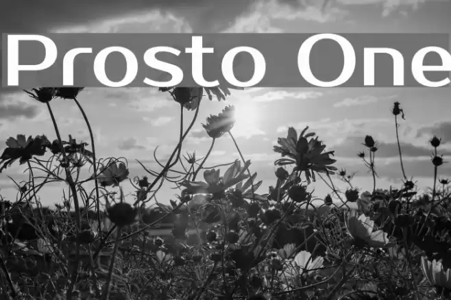 Prosto One Font examples