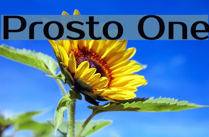 Prosto One Font examples