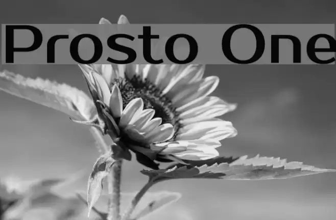 Prosto One Font examples