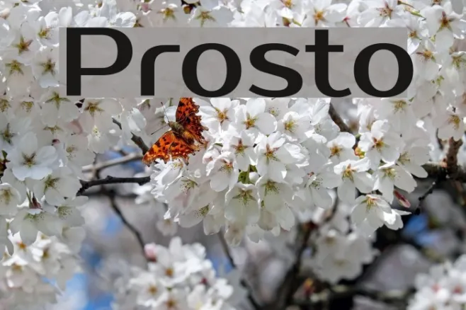 Prosto Example 1