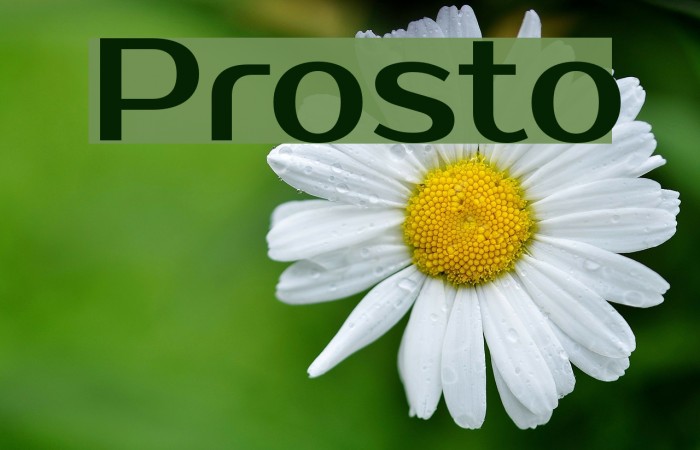 Prosto Font examples