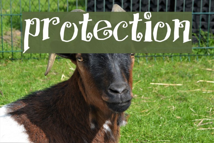 Protection Schriftart examples