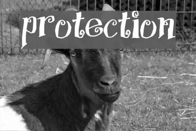 Protection Schriftart examples