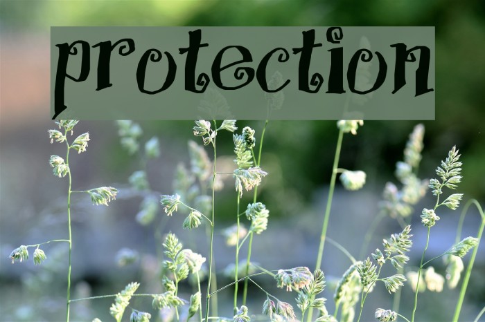 Protection Schriftart examples