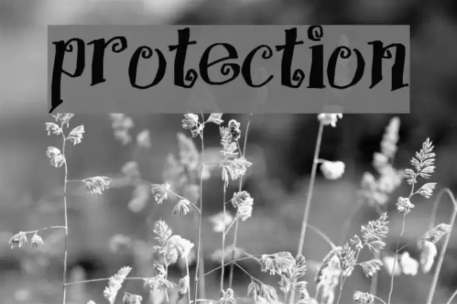 Protection Schriftart examples